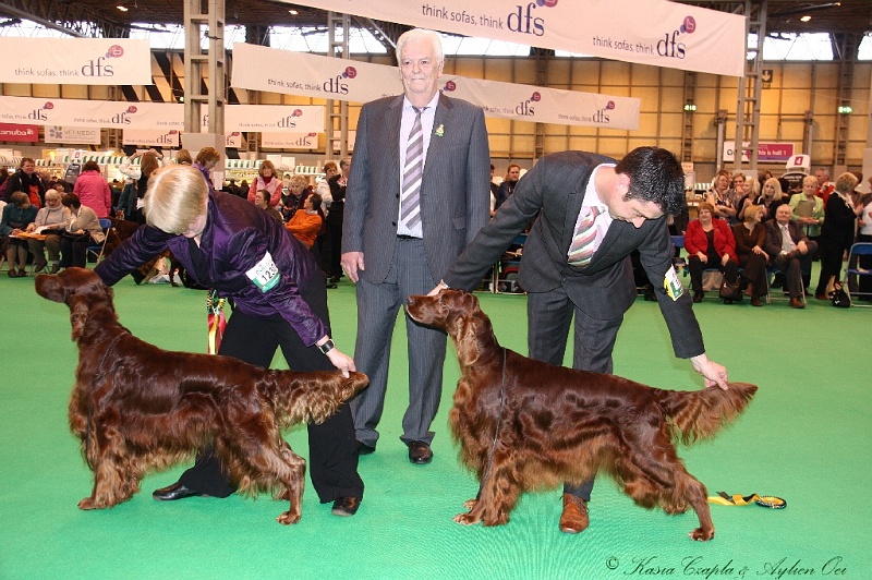 Crufts2011_2 184.jpg